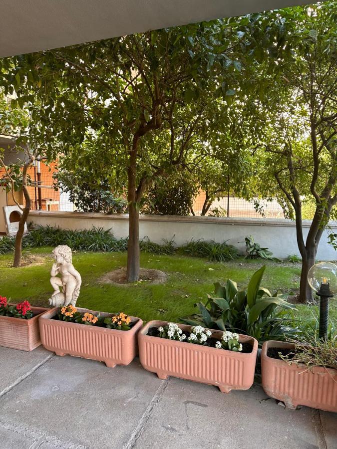Ajoaolbia B&B Exterior photo